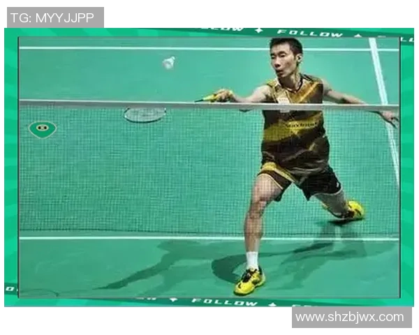 武汉羽毛球队引领最新羽毛球战术TOP10解析与应用技巧分享