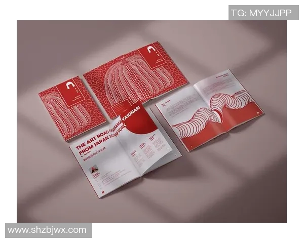 深圳排球队的精神风貌与发展历程探讨