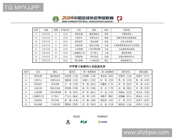 裁判与足球明星的角色定位与职业发展之比较分析 裁判与足球明星的角色定位与职业发展之比较分析