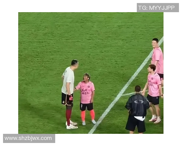 出轨兄弟的足球明星背后的秘密与荣耀交织的故事