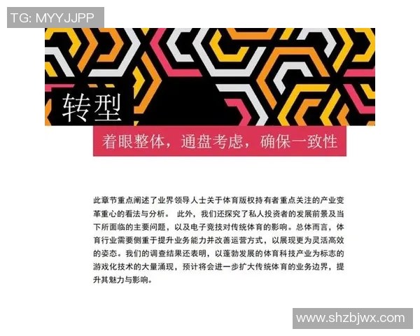 北京乒乓球队速度分析与战术探讨助力竞技水平提升